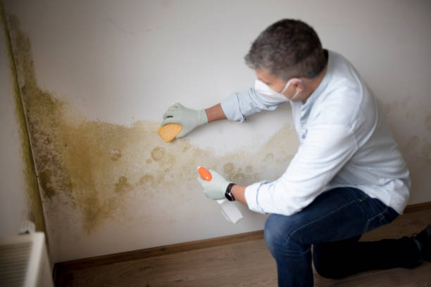 Best Mold Documentation for Insurance Claims  in Brookneal, VA